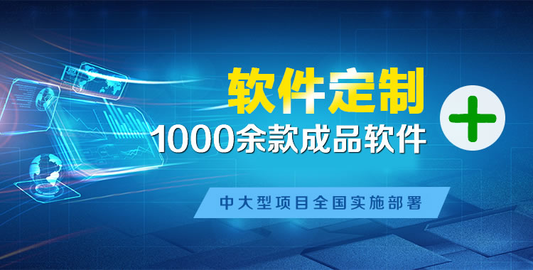 临泽管理系统软件软件开发